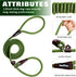 PetiFine Slip Lead Dog Leash,6FT x 1/2" Reflective Durable Dog Training Leash, Heavy Duty Adjustable Nylon Dog Rope Leash Slip Leash for Small Medium Large Dogs (Green)