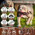 Dog Toys - 4-Pack Indestructible Chew Toys for Aggressive Chewers - Nylon Durable Dog Toys for Medium Large