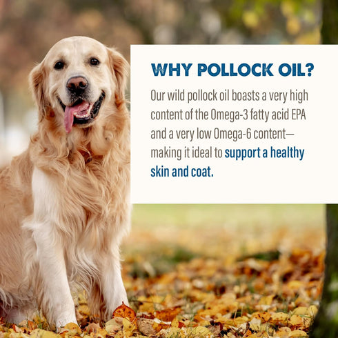 Grizzly Pollock Oil for Dogs - 8 oz