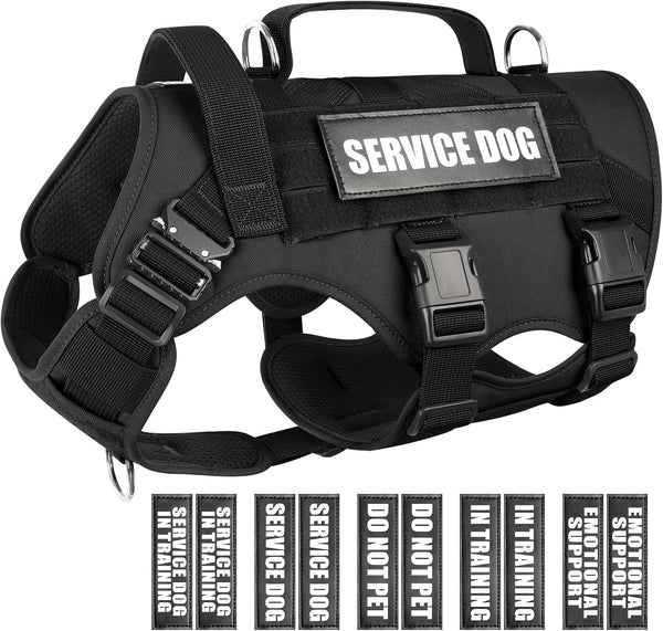 WINSEE Service Dog in Training Vest, Tactical MOLLE Vest for Large Dog, 10 Pet Patches, 2 Handles