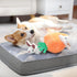 Amazon Basics Hide and Seek Squeaky Dog Plush Toy, Rabbit and Carrot, Orange and White, 5 Pack