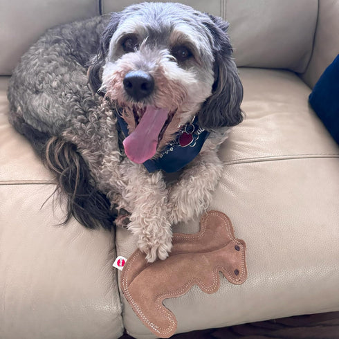 SPOT 8in Dura-Fused Leather Squirrel Dog Toy Real Leather & Jute Fabric, Double-Stitched & Durable, Soft Stuffed
