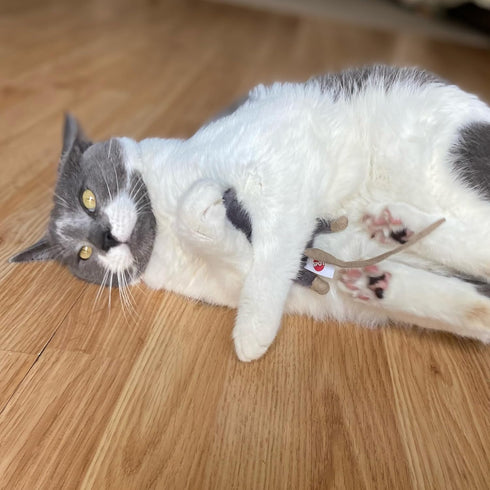 SPOT Flat Mouse Frankie with Catnip, Cat Toy, 5.5in Plush Mice with Catnip and Crinkle Sound, Perfect for Chasing