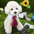 4 Pieces Adjustable Cat Dog Tie with Collar, Puppy Pets Formal Necktie Collars, Bow Ties for Cat Small Dogs Grooming