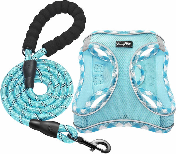 Dog Harness with Leash Set, No Pull Adjustable Reflective Step-in Puppy Harness with Thickened Padded Vest for