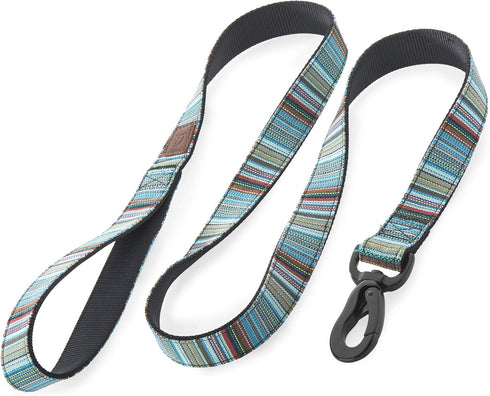 Embark Urban Dog Leashes, Colorful Strong Nylon Leashes for Small, Medium, and Large Breed Dogs, Heavy Duty (Boho, 4 Ft)