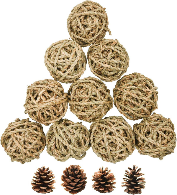Bac-kitchen 10 Pcs Small Animals Play Balls Rolling Activity Chew Toys Gnawing Treats