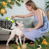 PETGEEK Interactive Dog Toys, Durable Motion Activated Automatic Dog Bone for Medium & Large Dogs