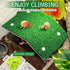 kathson Hermit Crab Climbing RampToy & Decorations - Gecko Tank Accessories - Reptile Climbing Decor & Basking Platform