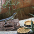 Reptile Hide, Food Bowls, Lizard Resin Hollow Tree Trunk Hideout, Bearded Dragon Tank Accessories, 3 Pcs (Brown Rock)