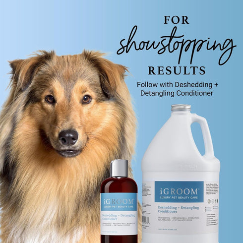 (16 OZ) iGroom Deshedding & Detangling Dog Shampoo, Luxury Pet Beauty Care, Loosen Tangles + Unwanted Undercoat, Adds