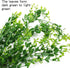 HERCOCCI 2 Pack Reptile Plants, Artificial Hanging Vines Habitat Decorations with Suction Cup for Bearded Dragon,
