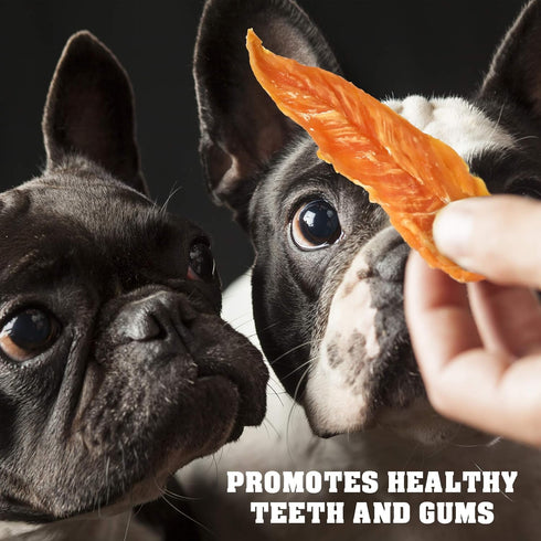 1.5 lb Pack Beloved Pets Dog Treats Chicken Jerky Dog Food & High Protein Chews for Large, Medium & Small Breeds