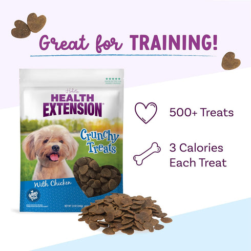 Health Extension Dry Dog Treat, GMO-Free, Heart-Shaped Crunchy Biscuits with Chicken, 12 Oz / 340 g, for Small Breeds &