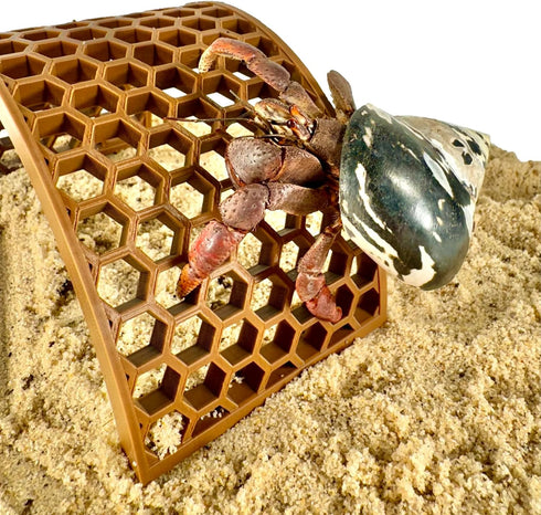 Lucky Critter Hermit Crab Climbing Toy Bridge | Hermit Crab Tank Decor Hide | Decoration Accessories Supplies Toys