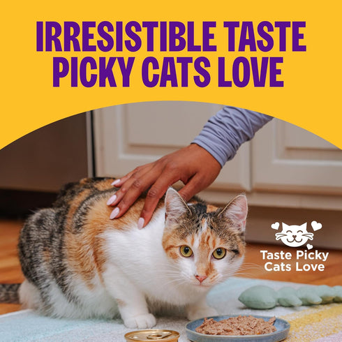 3 oz, Pack 12 Wellness Complete Health Gravies Adult Canned Wet Cat Food, Natural, Protein Rich, Grain Free, Chicken
