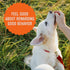 Cloud Star Tricky Trainers Soft & Chewy Dog Training Treats, Peanut Butter Flavor, 5 oz Pouch