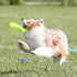 Hyperflite Pup Jawz Dog Flying Disc, 7 Inch, Puncture Resistant, Competition Approved
