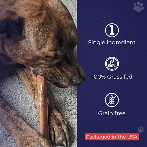 Devil Dog Pet Co. 12 Inch Braided Bully Sticks for Dogs – 3 Pack, 100% All Natural, Long Lasting & Rawhide Free
