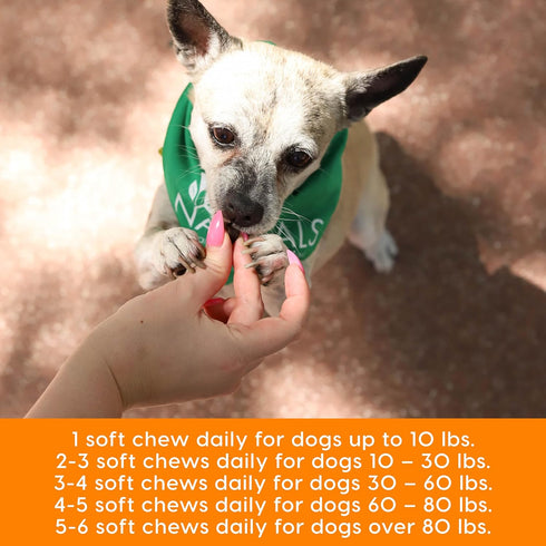 ARK NATURALS Gray Muzzle Old Dogs! Happy Joints! - 90 Soft Chews with Glucosamine, Orange