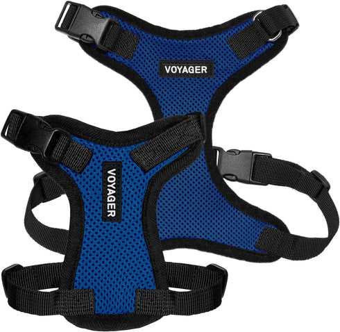 Best Pet Supplies Voyager Step-in Lock Pet Harness - Adjustable All Weather Mesh for Cats and Dogs, Royal Blue/Black