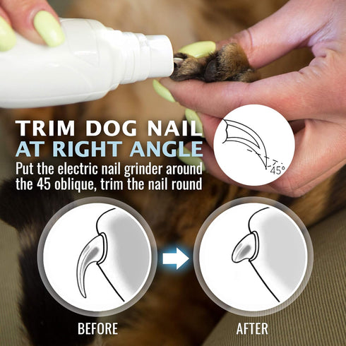 Trimmer- 2-Speed 3 4 REXIPETS Cat and Dog Nail Grinder - Rechargeable Electric Pet Nail Clipper & Painless Paws