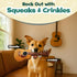 Squeaky Plush Guitar Dog Toy - Fun and Unique Gift for Your Pup