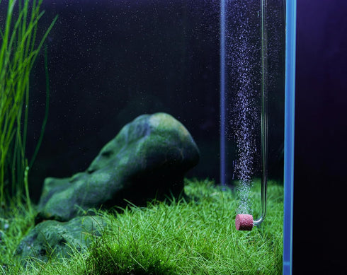 LANDEN AERVITA CO2 Diffuser Kits, XS Size Ceramic Diffusing Disc for Aquarium Tank Under 10gal