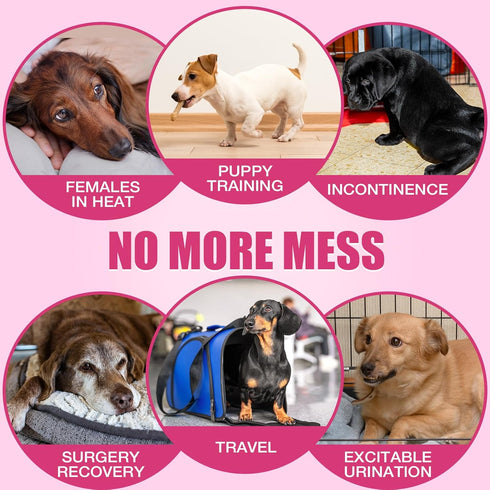 Dono Disposable Dog Diapers Female, Super Absorbent Doggie Diaper, Rapid-Dry Gel Technology Puppy Diapers, Leak-Proof