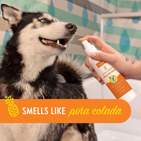Deodorizer Spray for Pets, 8oz Long-Lasting Piña Colada Odor Eliminator for Dogs, Gentle Water-Based Spray