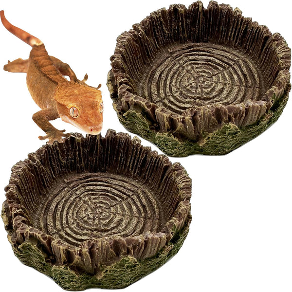 2 Pack Small Reptile Food Bowl - Feeding Dish for Bearded Dragon, Gecko, Lizard, Frog