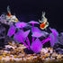 VOCOSTE Soft Silicone Glowing Aquarium Mushroom Coral, Fluorescence Aquatic Artificial Coral for Fish Tank Decoration, Purple by VOCOSTE