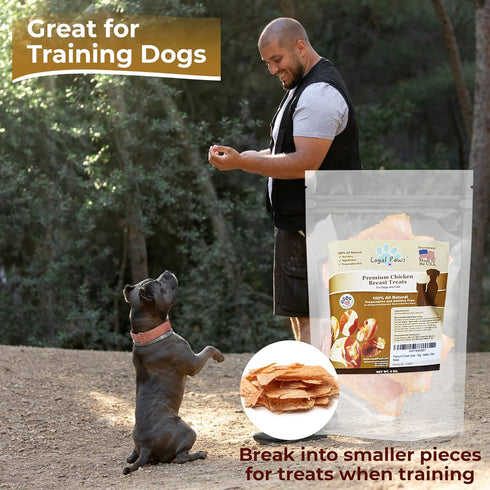 Chicken Jerky Dog Treats Made in USA - Natural, Healthy, Premium, 100% Chicken, Grain Free - 4oz