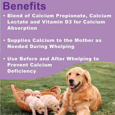 Canine Whelping Calcium Paste combines Calcium Propionate, Calcium Lactate and Vitamin D3 for better calcium absorption