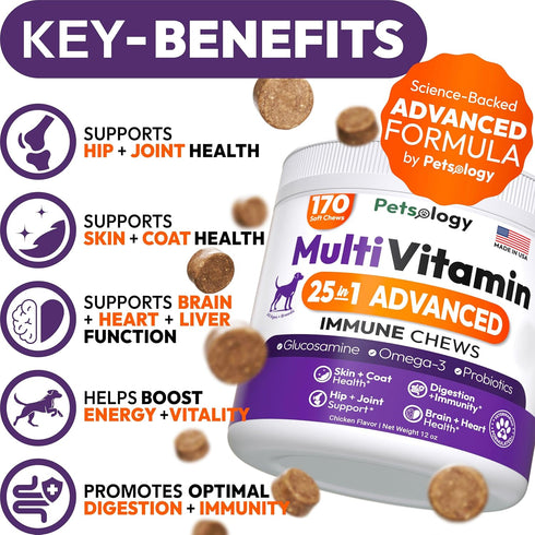 170 Immune Dog Multivitamin Chewable - Dog Vitamins and Supplements with Glucosamine - Chews - Hip & Joint, Pet