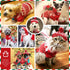 Dog Christmas Sweater Scarf and Hat Set, Cute Red Reindeer Snowflake Outfits for Small Dogs Cats, Large