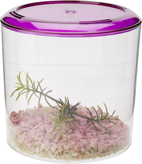 Lee's Round Betta Keeper - Ideal Habitat for Betta Fish