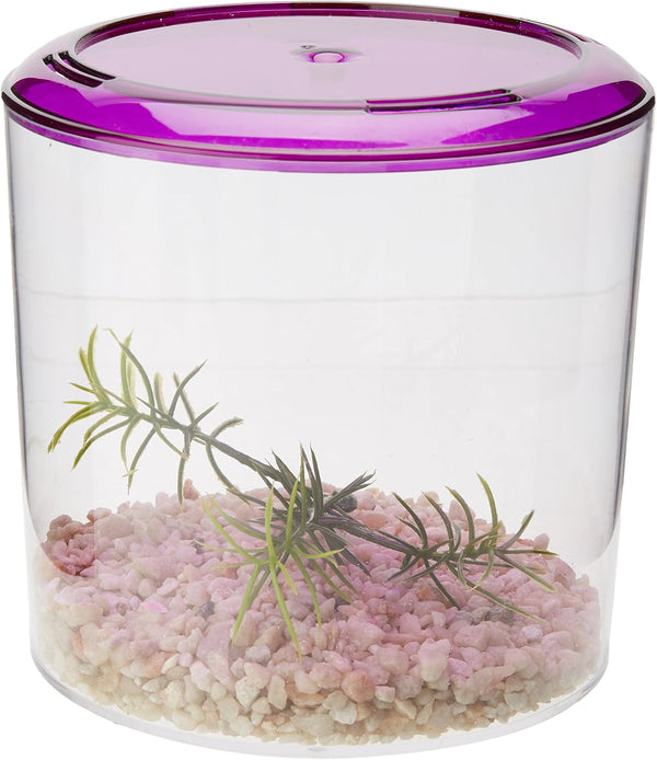Lee's Round Betta Keeper - Ideal Habitat for Betta Fish