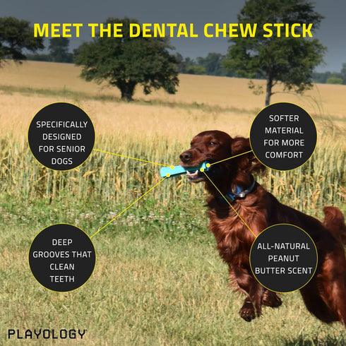Playology Silver Dental Chew Stick Dog Toy for Large Senior Dogs (35lbs & Up) - Engaging All-Natural Peanut Butter Scented Dog Chew Toy - Non-Toxic Materials and Moderate Chewing for Older Teeth