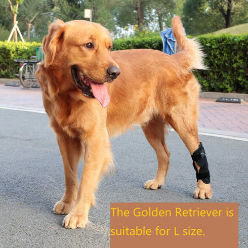 Powerful Dog Canine Rear Leg Hock Joint Brace - Large Compression Wrap for Dog Back Leg Support
