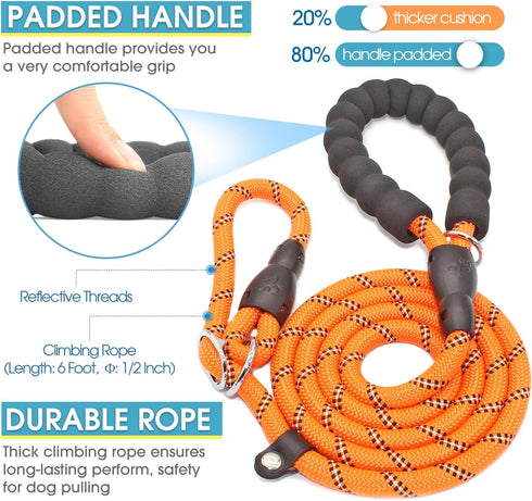 BAAPET 6 Feet Slip Lead Dog Leash, Anti-Choking with Durable Rope Cover and Padded Handle for Dogs - Orange