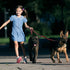 Kruz Double Dog Leash for Two Dogs, ¾” Width, 17”-34” Length, Tangle-Free Swivel with Reflective Bungee (Blue)