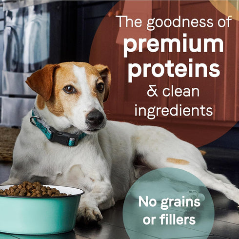 Canidae Pure Limited Ingredient Premium Adult Dry Dog Food - Real Chicken, Lentil & Potato Recipe, 4 lbs