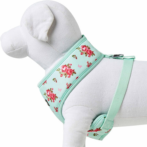 Blueberry Pet Floral Dog Vest Harness, Turquoise, X-Small, Lightweight & Comfy Fit for Small Breeds, No Pull Design