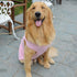 Lovelonglong 2019 Summer Pet Clothing, Dog Clothes Blank T-Shirts, Ribbed Tanks, Thread Vests for Large Medium Small