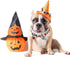 2 Pack Halloween Dog Collar with Bowtie - Holiday Jack-O-Lantern and Pumpkin Collar for Small Medium Large Dogs