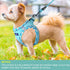 Dog Harness with Leash Set, No Pull Adjustable Reflective Step-in Puppy Harness with Thickened Padded Vest for