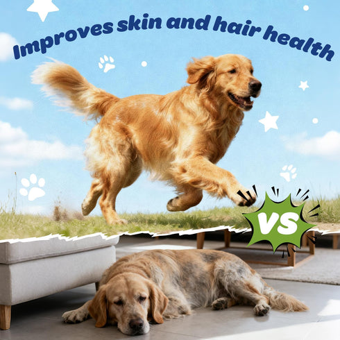 8-in-1 Immune 120 Count Dog Multivitamin with Glucosamine, Chondroitin, MSM & Probiotics Hip & Joint, Skin & Coat, Gut