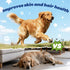 8-in-1 Immune 120 Count Dog Multivitamin with Glucosamine, Chondroitin, MSM & Probiotics Hip & Joint, Skin & Coat, Gut