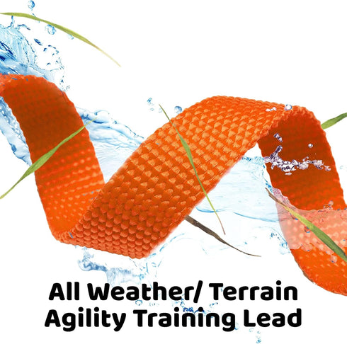 Downtown Pet Supply 50ft Long Dog Training Leash, Nylon Recall & Obedience Training Tools, Orange